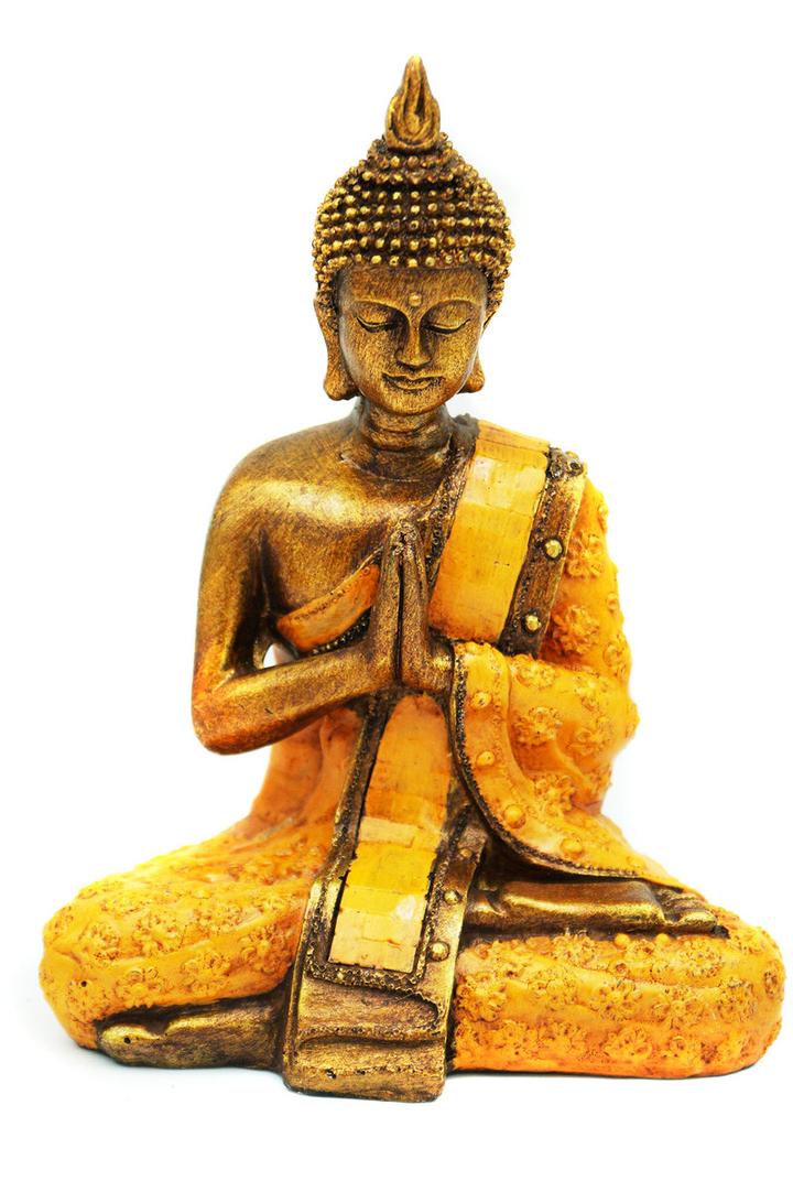 Aresztowanie youtubera Budda