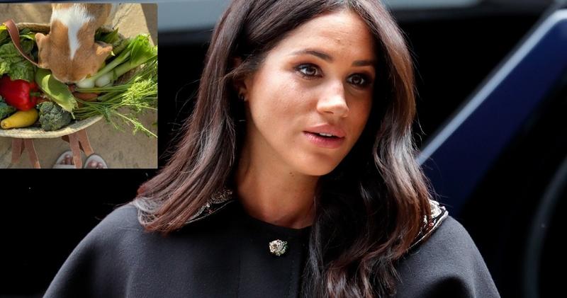 Zarobki Meghan Markle