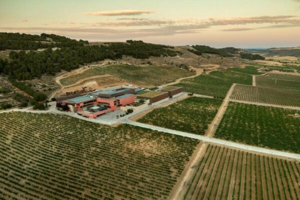 Jakie są zarobki streamera Pago? Odkrywamy prawdziwe liczby!