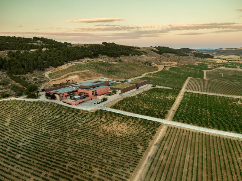 Jakie są zarobki streamera Pago? Odkrywamy prawdziwe liczby!