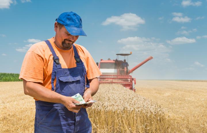 Wynagrodzenia w rolnictwie