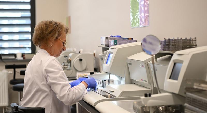 Perspektywy zawodowe w patologii