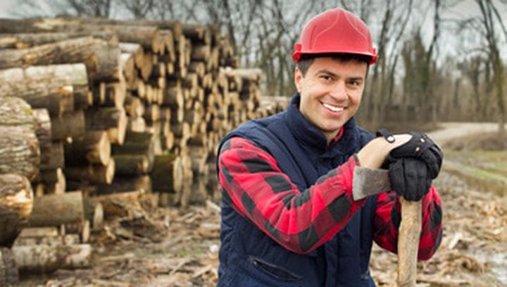 Wynagrodzenia leśników