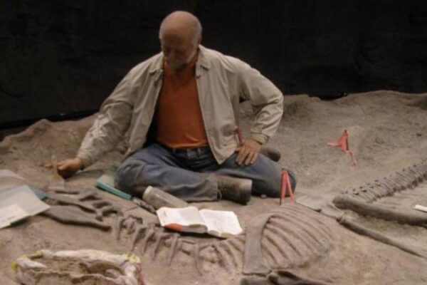 Ile naprawdę zarabia archeolog? Aktualne zarobki w zawodzie