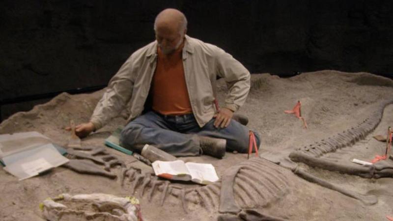 Ile naprawdę zarabia archeolog? Aktualne zarobki w zawodzie