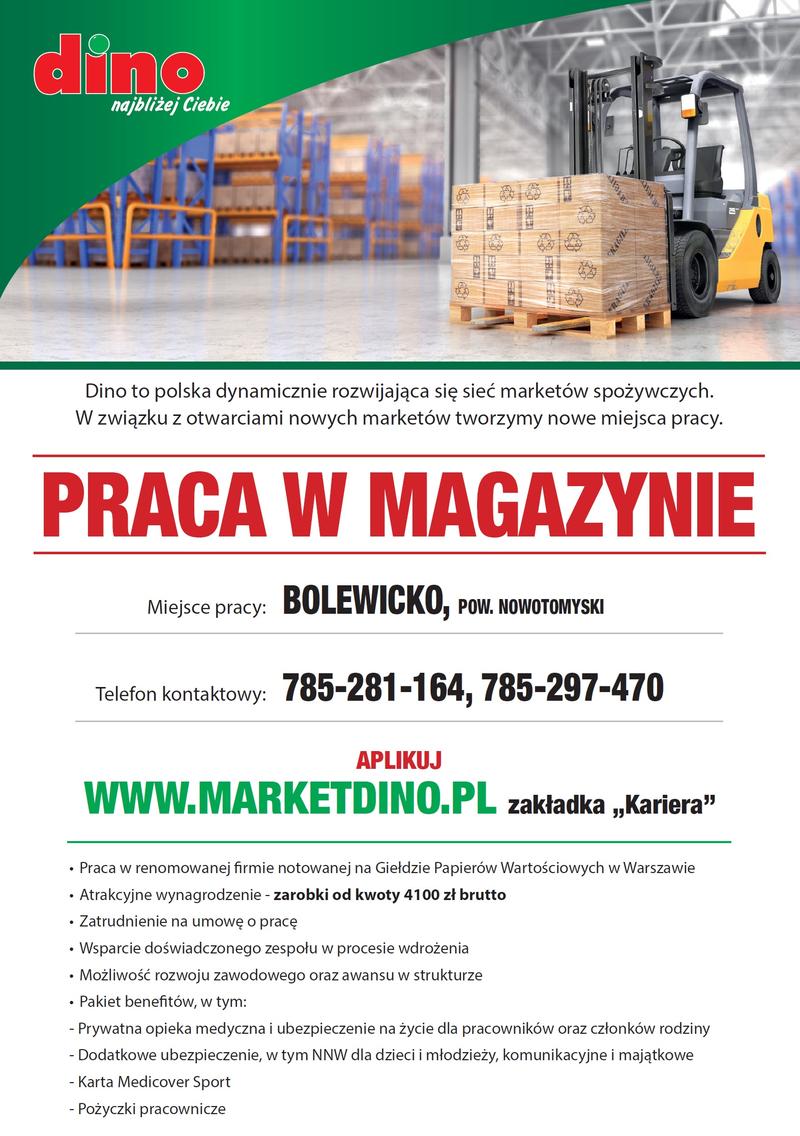 Dodatkowy dochód online