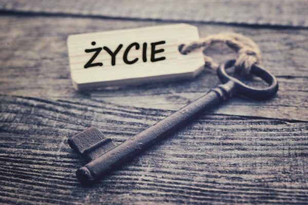 Ile kosztuje człowiek? Zaskakujące spojrzenie na wartość życia ludzkiego