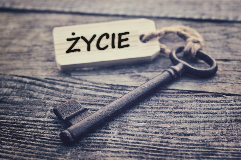 Ile kosztuje człowiek? Zaskakujące spojrzenie na wartość życia ludzkiego