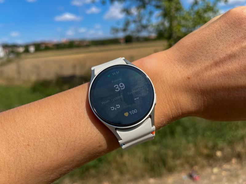 Zdalne płatności smartwatch