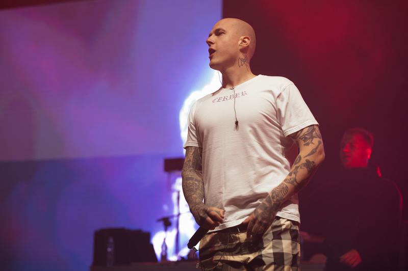 Wpływ mediów społecznościowych na dochody