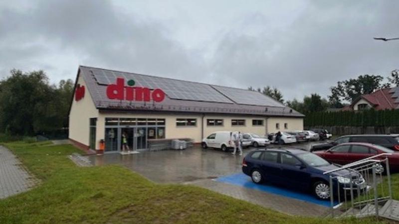 Zarobki na różnych stanowiskach Dino