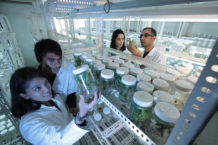 Biotechnologia w Polsce