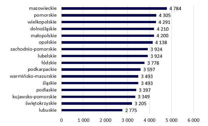 Specjalizacje w grafice